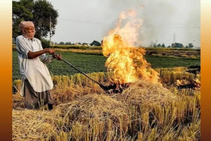 पराली जलाने पर कार्रवाई, करनाल के खेत में किसान