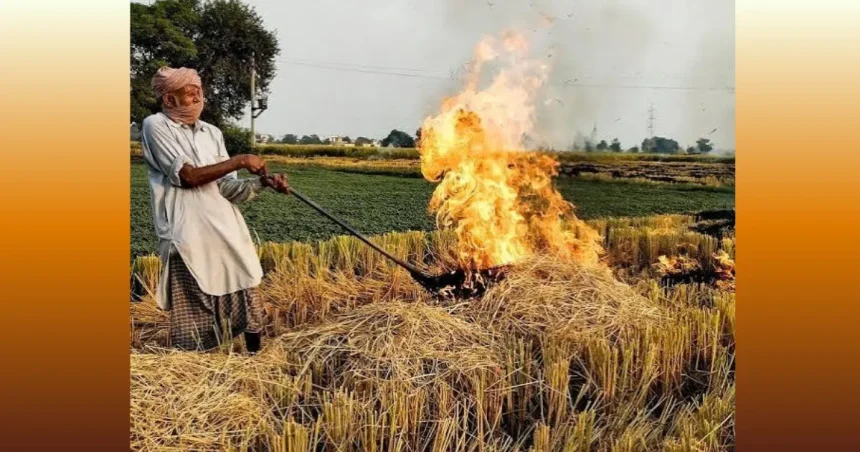 पराली जलाने पर कार्रवाई, करनाल के खेत में किसान